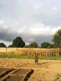 Centre grounds where crops are grown