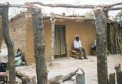 Mwembeshi Settler, 1998